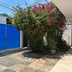 https://casa-nuria.tulum-hotels.net